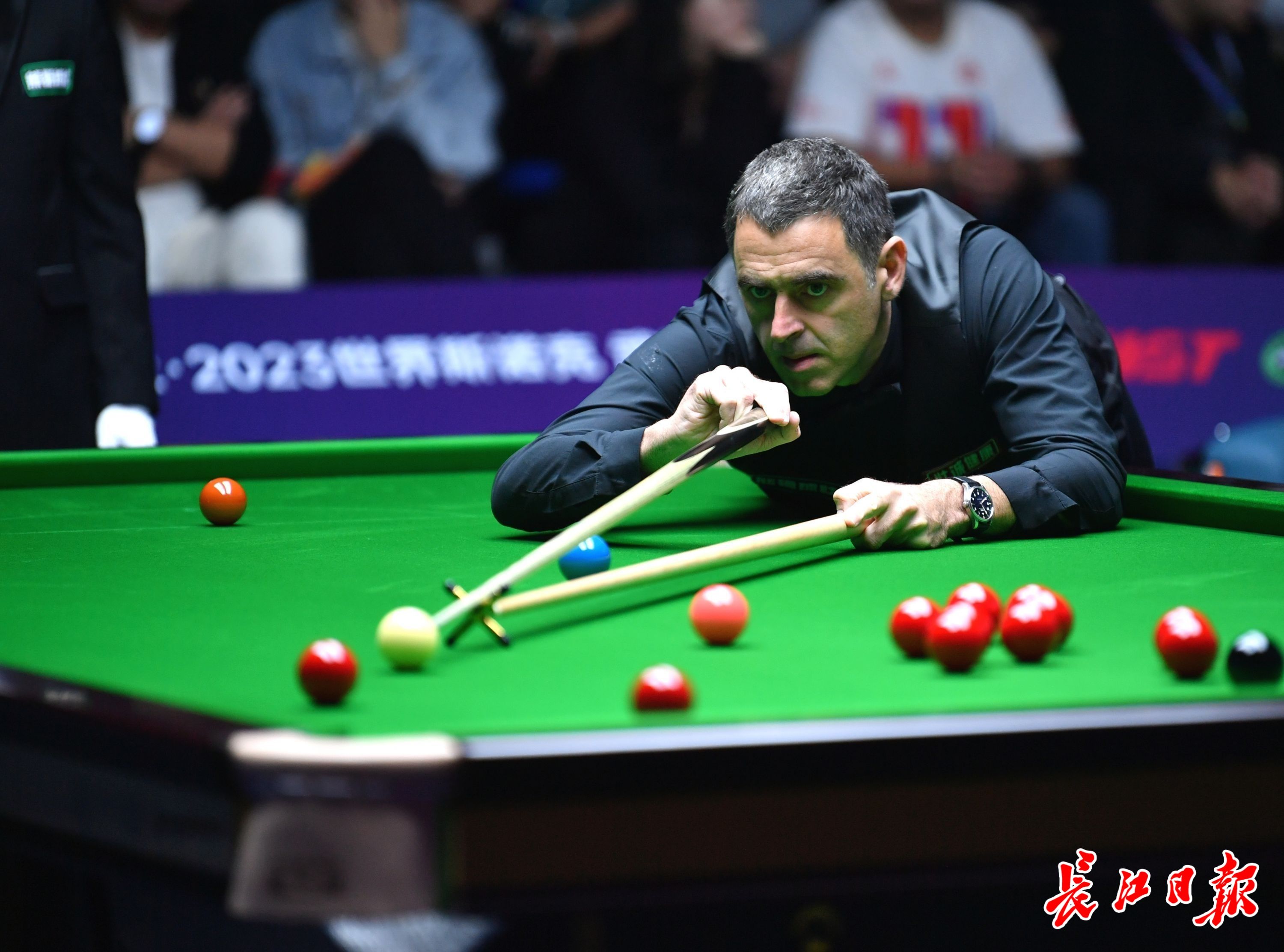 以敏锐的洞 以敏锐的洞