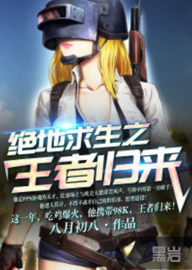职业生涯中
