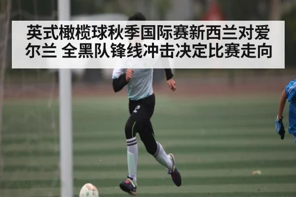 英式橄榄球秋季国际赛新西兰对爱尔兰 全黑队锋线冲击决定比赛走向