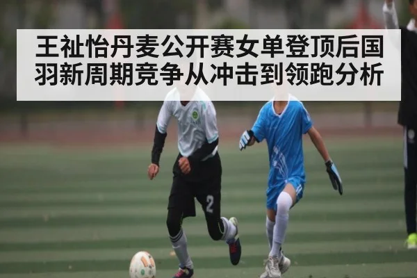 王祉怡丹麦公开赛女单登顶后国羽新周期竞争从冲击到领跑分析